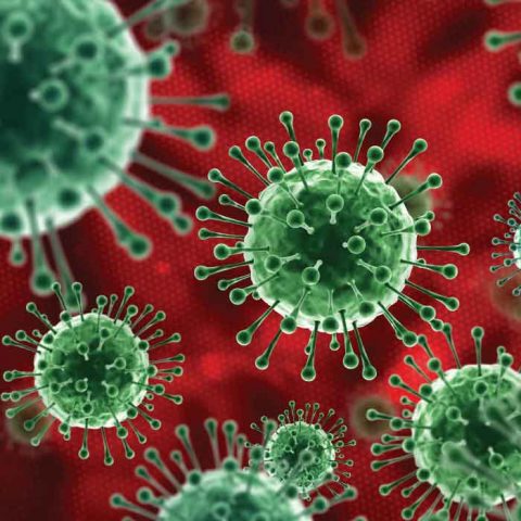 Virus_1000x700_jpg_VKOXFh5Z-480×480